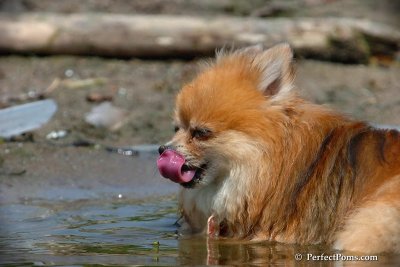 June27_08_079.jpg