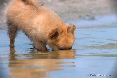 June27_08_083.jpg