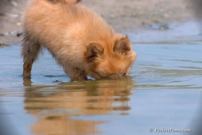 June27_08_084.jpg