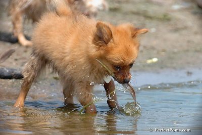 June27_08_086.jpg