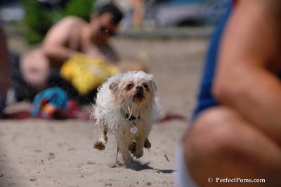 July1_08_178.jpg