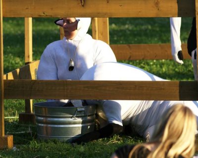 Les Moutons 00216.JPG