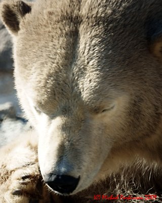 Toronto Zoo 09690 copy.jpg