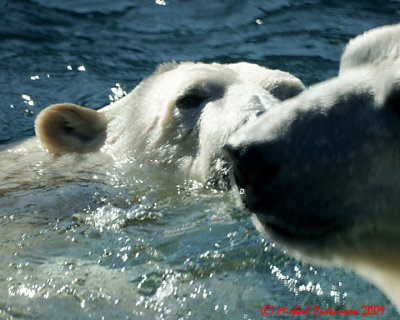 Toronto Zoo 09692 copy.jpg
