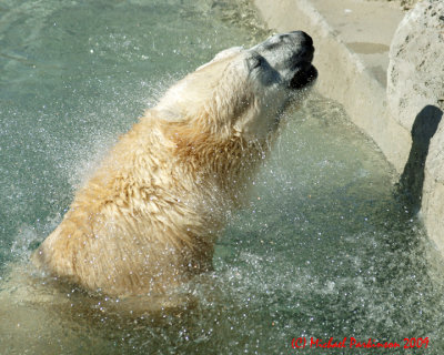 Toronto Zoo 09696 copy.jpg