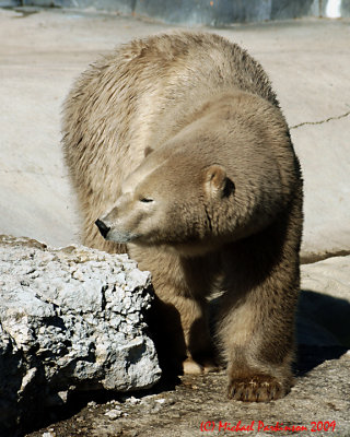 Toronto Zoo 09701 copy.jpg