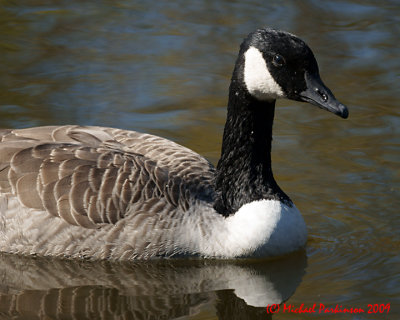 Toronto Zoo 09753 copy.jpg