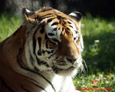 Toronto Zoo 09882 copy.jpg