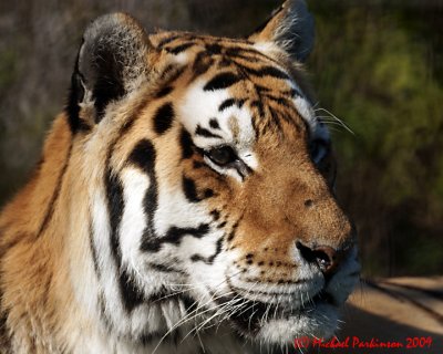 Toronto Zoo 09890 copy.jpg