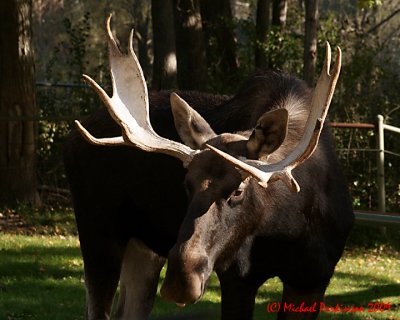 Toronto Zoo 00056 copy.jpg