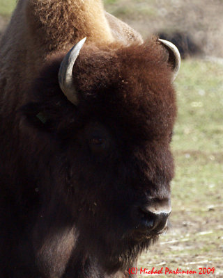 Toronto Zoo 00104 copy.jpg