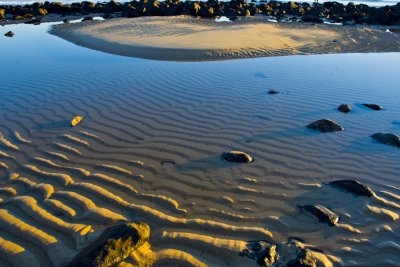 Christopher Morecroft`s Wildlife Images 