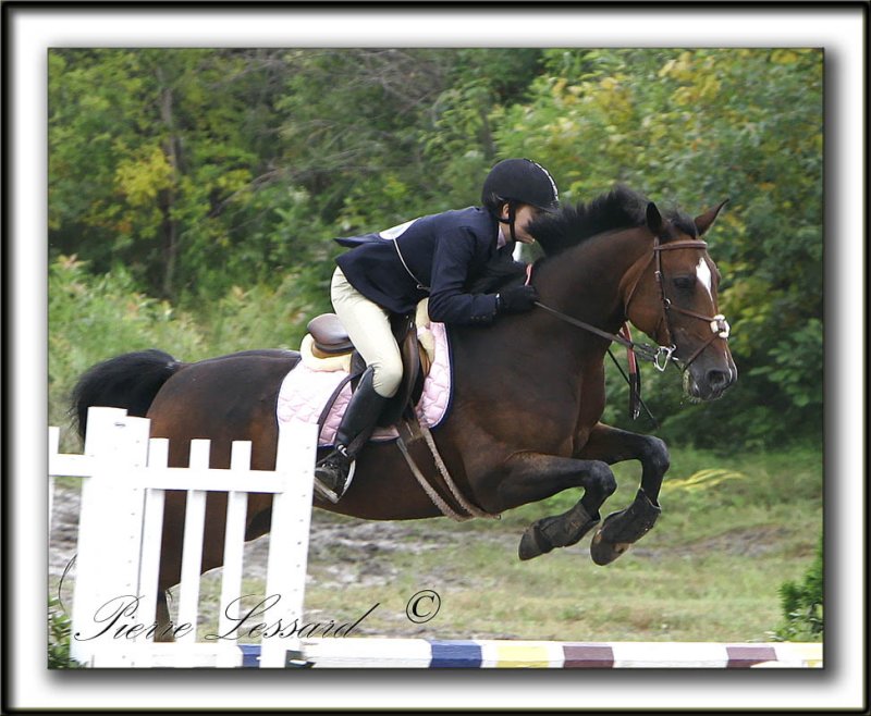 _MG_8889a  -  AMLIE LESSARD  SUR SHAGUY,  CHAMPIONNE SAUTEURS BAS CURIE ONEIL, AOT 2008