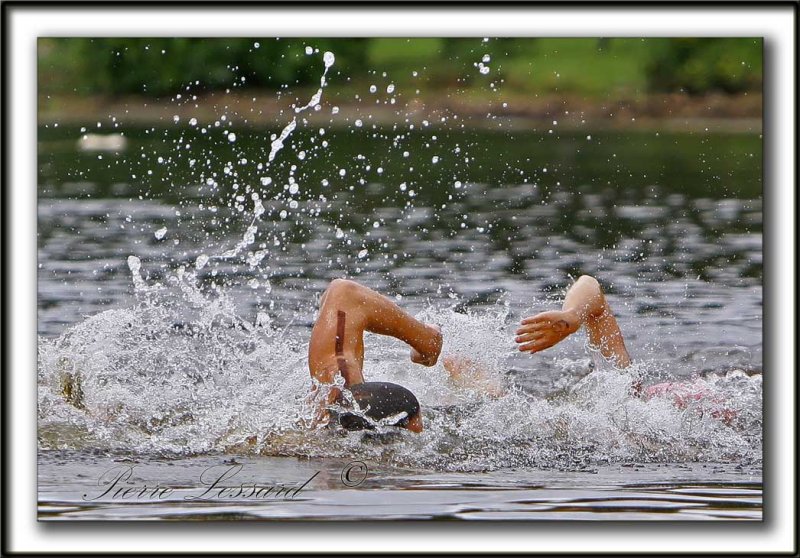 _MG_0800a Fran Crippen