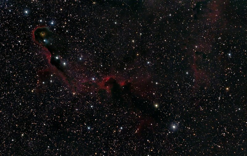 Elephant Trunk Nebula
