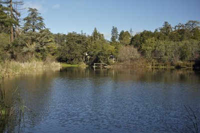 Creswick lake 2.jpg