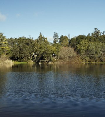 Creswick lake 1.jpg