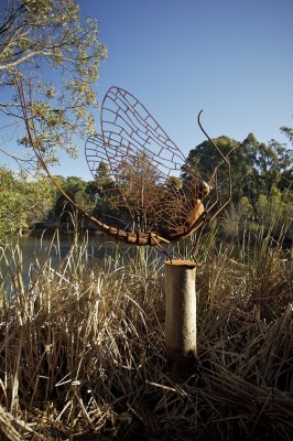 Creswick lake 14.jpg