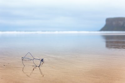 20091024 - Curly Blue