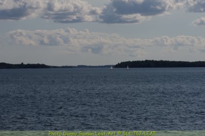 IMG_9336.JPG