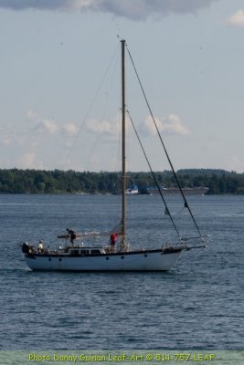 IMG_9351_edited-1.JPG