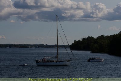 IMG_9352.JPG