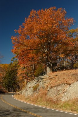 Harriman State Park, NY