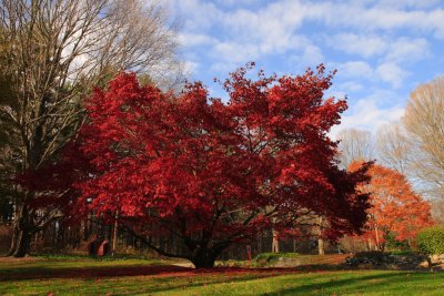 Brewster, NY