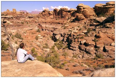 Canyonlands, Utah: Big Spring Canyon Overlook