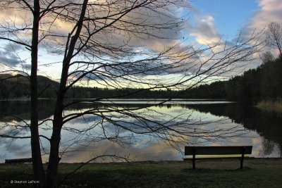 Evening Bench.jpg