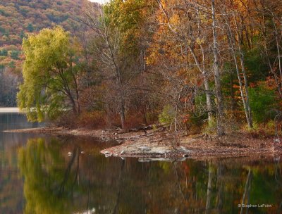 Ragged Shoreline.JPG