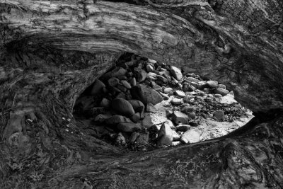 Driftwood Portal and Rocks