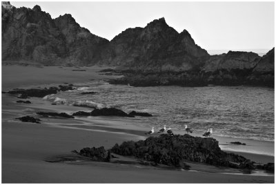 Rock Formations and Birds