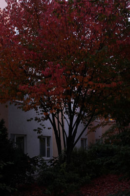 _MG_9841.jpg