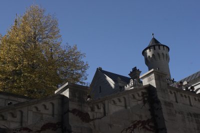 _MG_0311.jpg