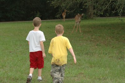 Boys after Deer.jpg
