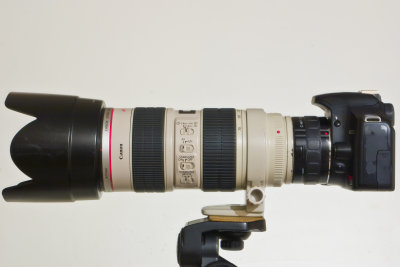 Canon 70-200 f/2.8 IS USM + Kenko 2X on XSi