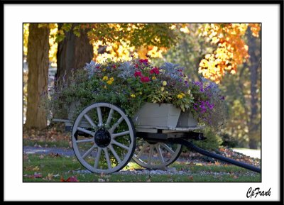 Fall Flower Cart