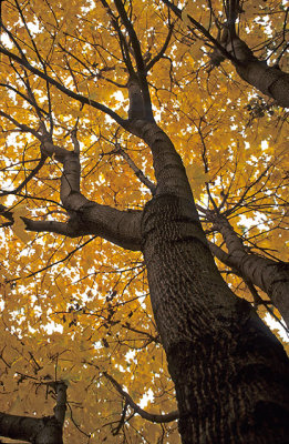 Moraine Hills State Park