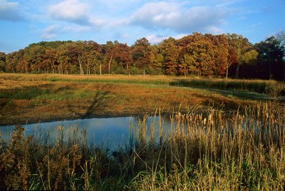 Moraine Hills State Park