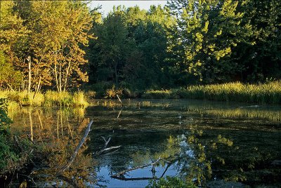 Moraine Hills State Park