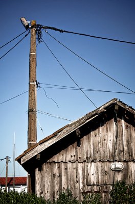g5/13/575413/3/100918390.cSdTyyVq.jpg