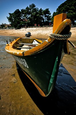 g5/13/575413/3/101236021.DfavM5yj.jpg