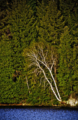 Algonquin Provincial Park 3