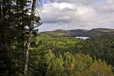 Algonquin Provincial Park 4