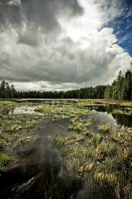 Algonquin Provincial Park 11