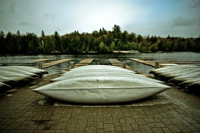 Algonquin Provincial Park 13