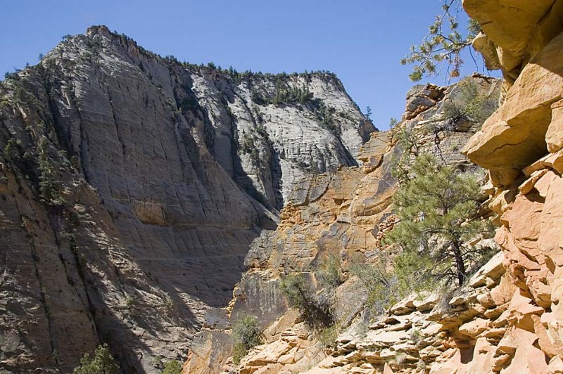 20080613 Zion2 076 copy.jpg