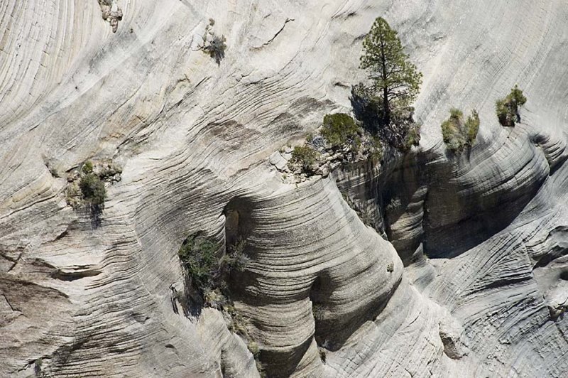 20080613 Zion2 136 copy.jpg