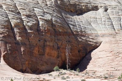 DSC_0077.jpg